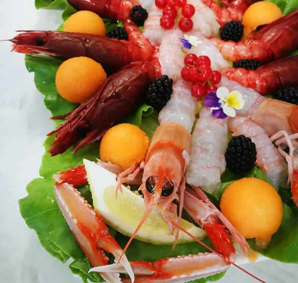 Le Ricette Di Santina